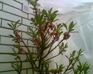 Bild005.webp