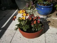 tn_BILD0082.webp