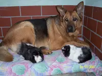 100_1225.webp