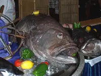 FischPortugal3.webp