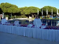 Cocktails.webp