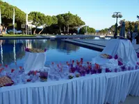 Cocktails1.webp