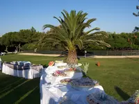 Buffet1.webp