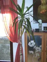 tn_BILD0094.webp
