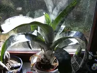 tn_BILD0091.webp