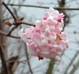 382650494_d8fbf8eada_o.webp