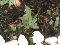 tn_BILD0102.webp