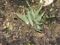 tn_BILD0103.webp