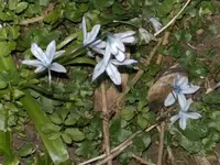 tn_BILD0104.webp