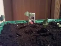 Foto0141.webp