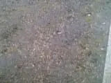 Bild000.webp