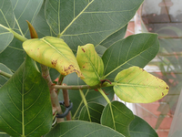 k-Bild 205.webp