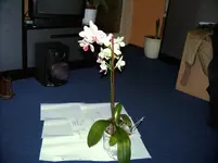 DSCF0543.webp