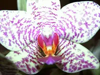 DSCF0547.webp
