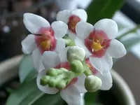 Kopie von CIMG2309.webp