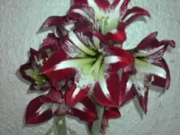Bild4.webp