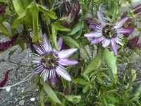 Bild6.webp