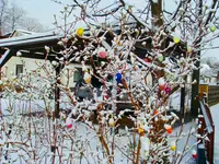 Kopie von DSC01584.webp