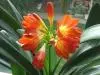 1_IMG_0234.webp