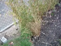 DSCF0161.webp