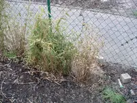 DSCF0162.webp