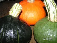 PICT9073.webp