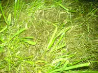 DSC00034.webp