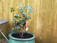 DSCF1559.webp