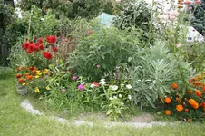 016.webp