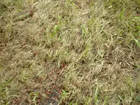 IMAG0559.webp