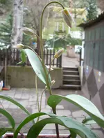 DSCN1453.webp