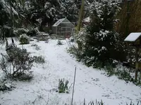 IMGP1154.webp