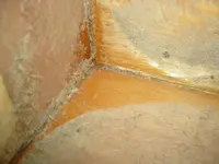 Treppe2a.webp