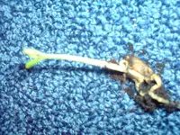 DSC00703.webp