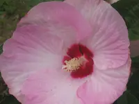 012.webp