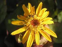 034.webp
