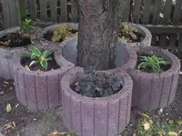 Garten 008.webp