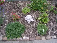 Garten 011.webp