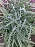Bild004.webp