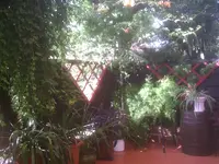 Terrasse27.1.webp