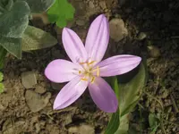 018.webp