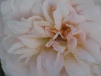 028.webp