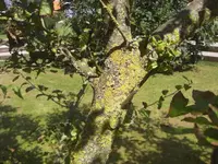 CIMG0099.webp