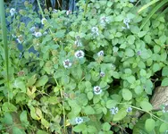 IM002730.webp