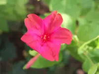 DSCF9031.webp