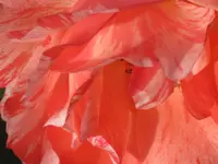 025.webp