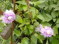 BILD0010.webp