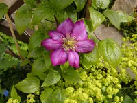 BILD0032.webp