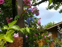 2.7.2008 019.webp