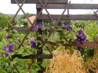 BILD0171.webp